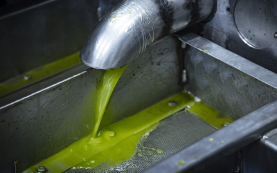 Explorando los secretos de la Cosecha Temprana: la esencia de un aceite extraordinario
